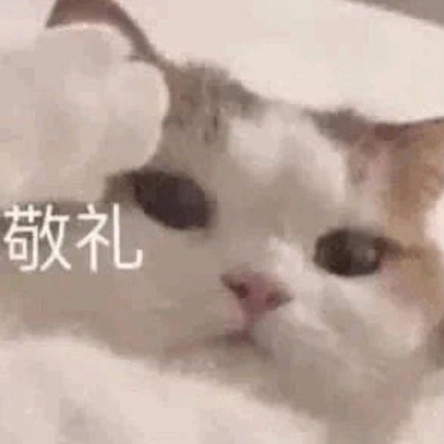 去现场的宝宝能不能帮我带id？ 