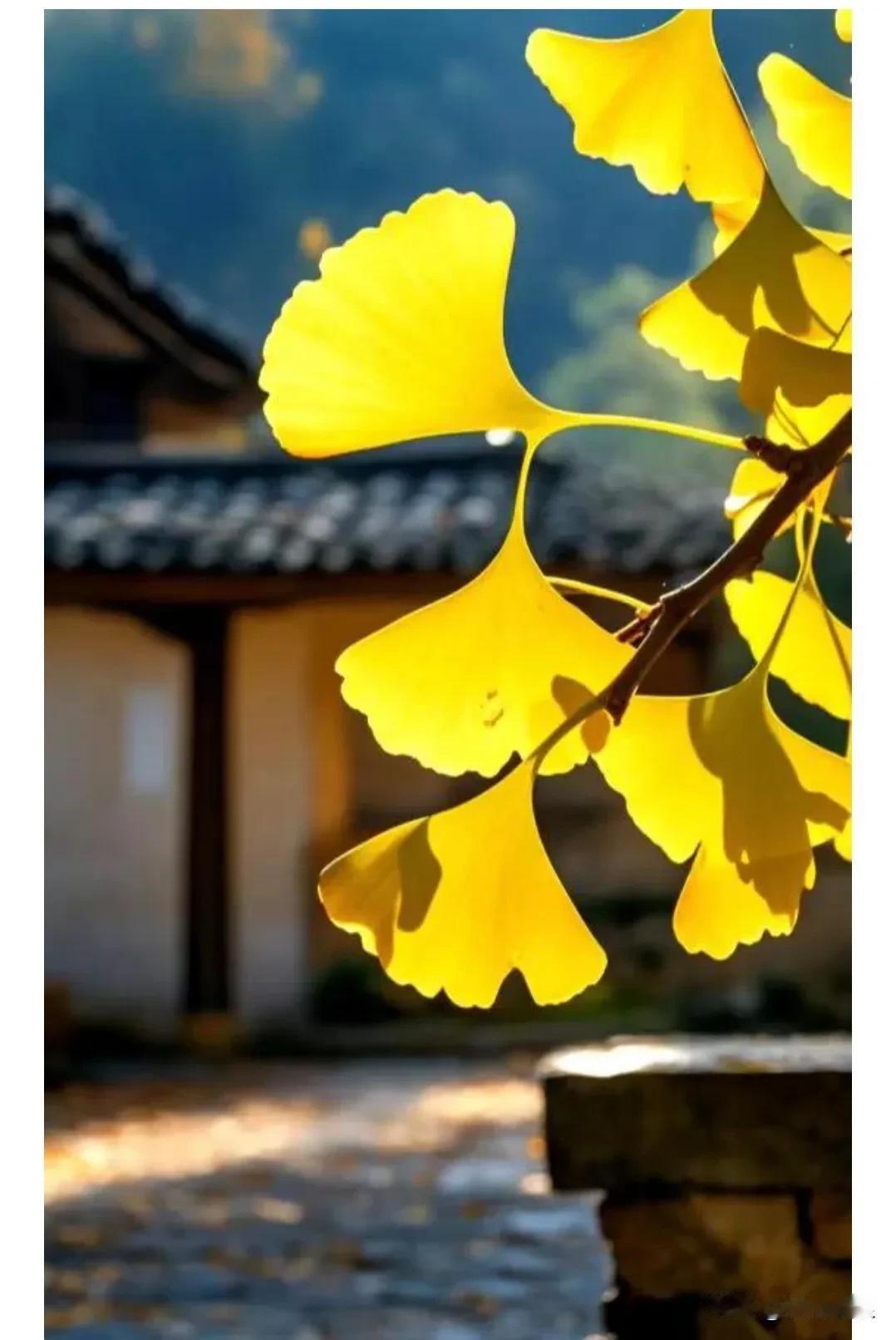 现在生病都生不起了。我一朋友她妈最近两根肋骨摔断了，需要住院照顾。朋友是独生子，