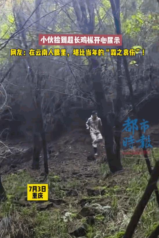雨后山里的“仙货”！谁敢信重庆有个遛弯儿小伙空手出门散步，愣是撞见了一棵直通“巨