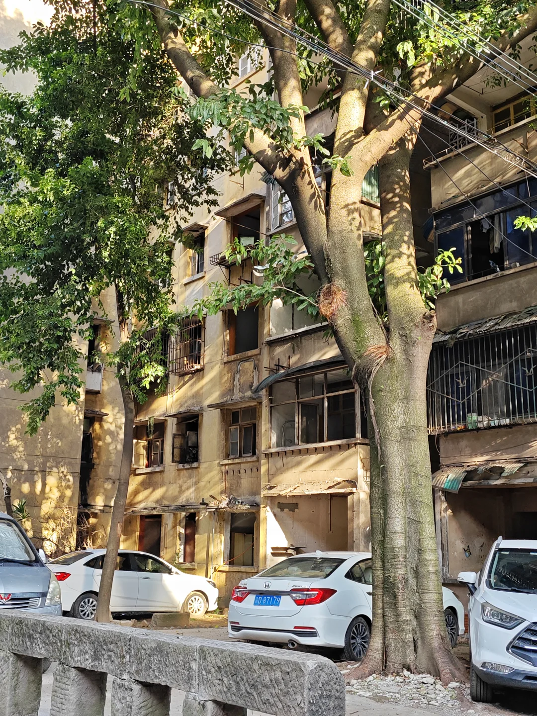 重庆走路去柏林(citywalk364)