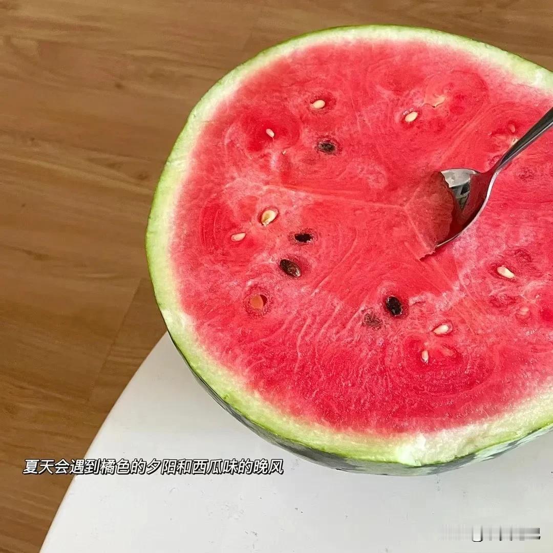 #一句诗描述夏天#
在这个生命旺盛的季节，只想要好好的快乐的有质量的活下去，去触