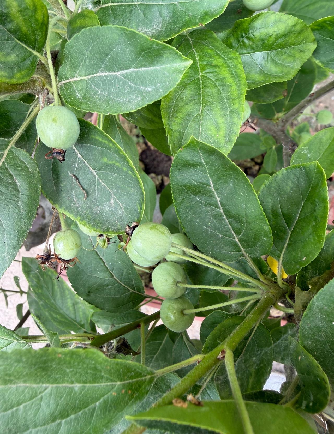 高中有个同学，毕业这么多年没联系过，前段时间突然加我微信。

一上来就各种套近乎