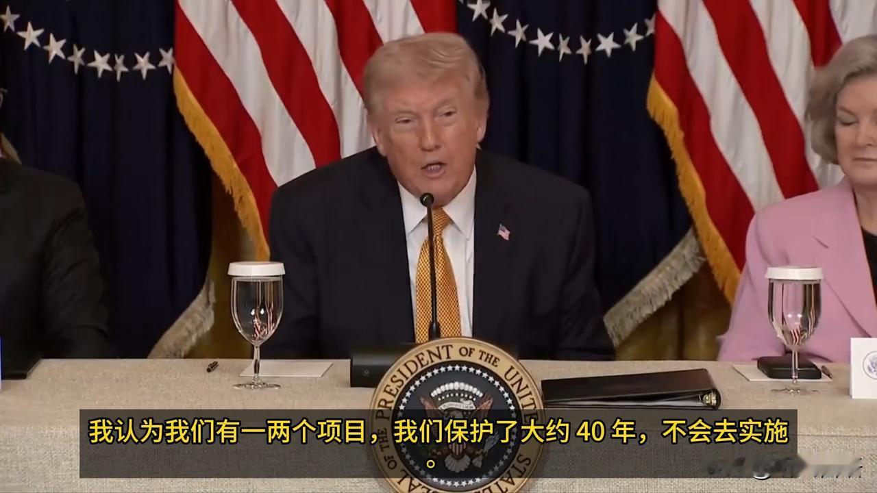“我们保护了它们40年，其中有一两个国家不应该这么做”——特朗普对北约国家和韩国