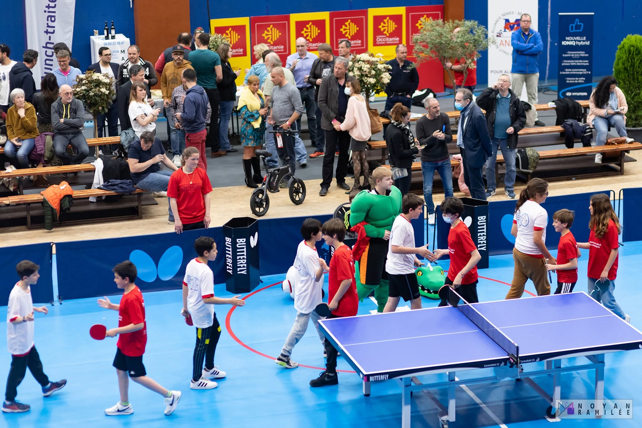 回顾一下鳄鱼男🐊 