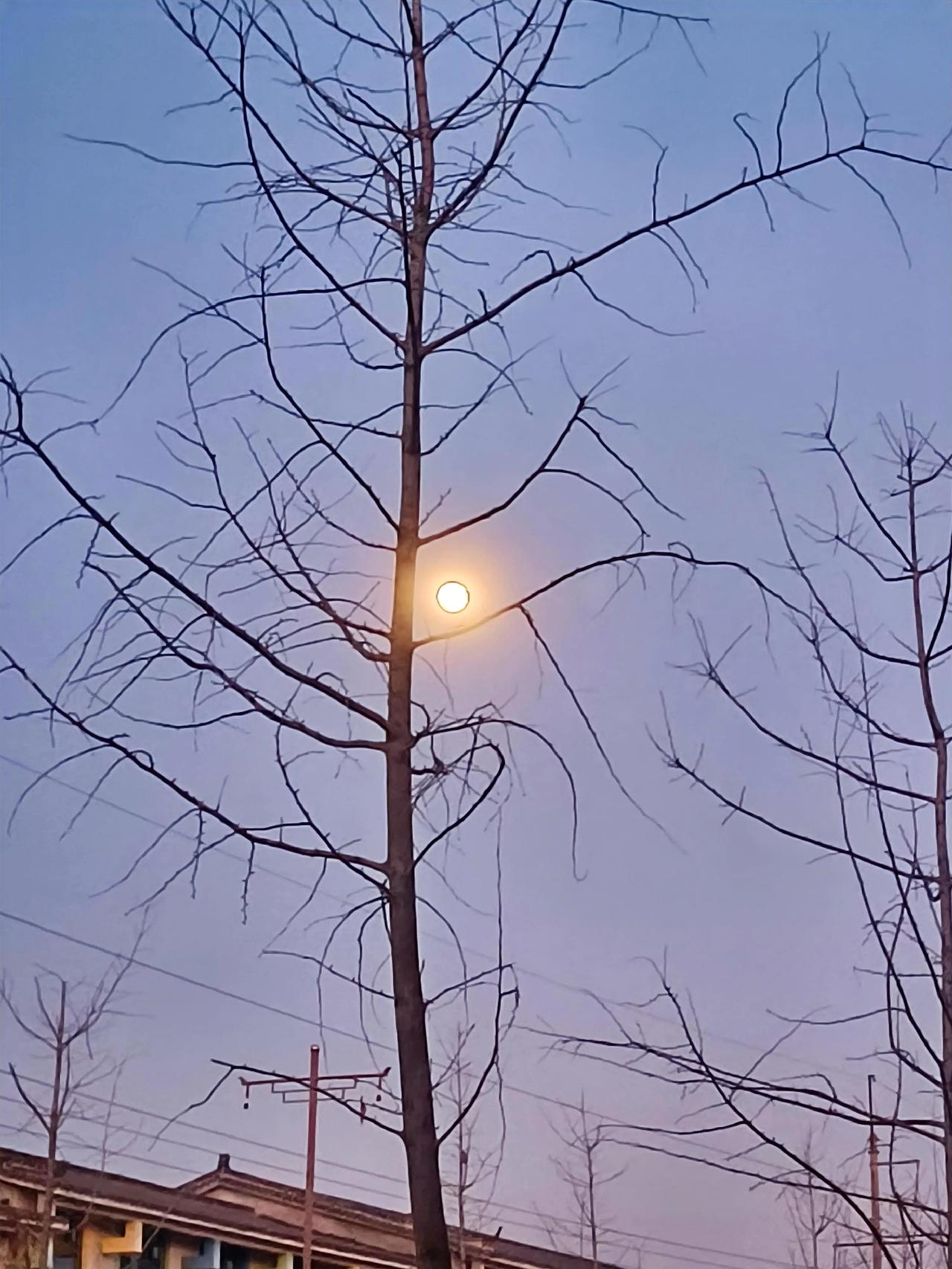 洗完头，爱人要帮我把两鬓突出的那几根白色的头发撵下来，我说还是留着吧。白了就撵下