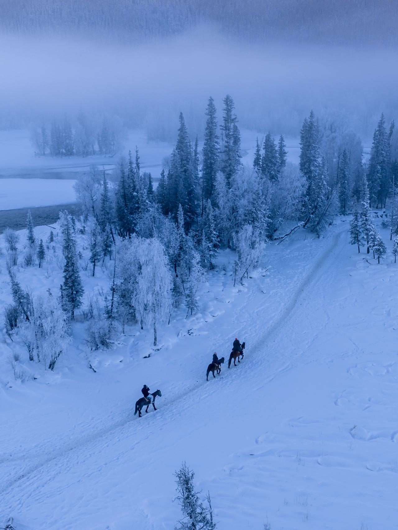 在万物萧瑟的冬季，如果说哪里能集静谧、神奇、绝美与梦幻于一体，那一定是晨雾飘渺的