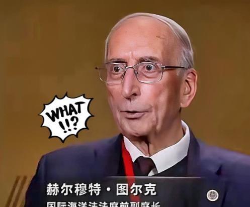 等了十年，终于有人把南海仲裁案的底牌掀了。国际海洋法法庭前副庭长图尔克亲口证实：