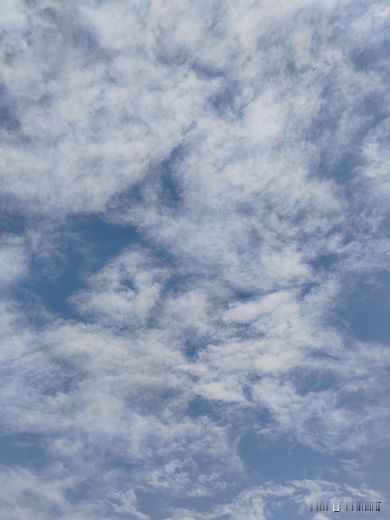 人生适意在杯酒，万事浮云亦何有。