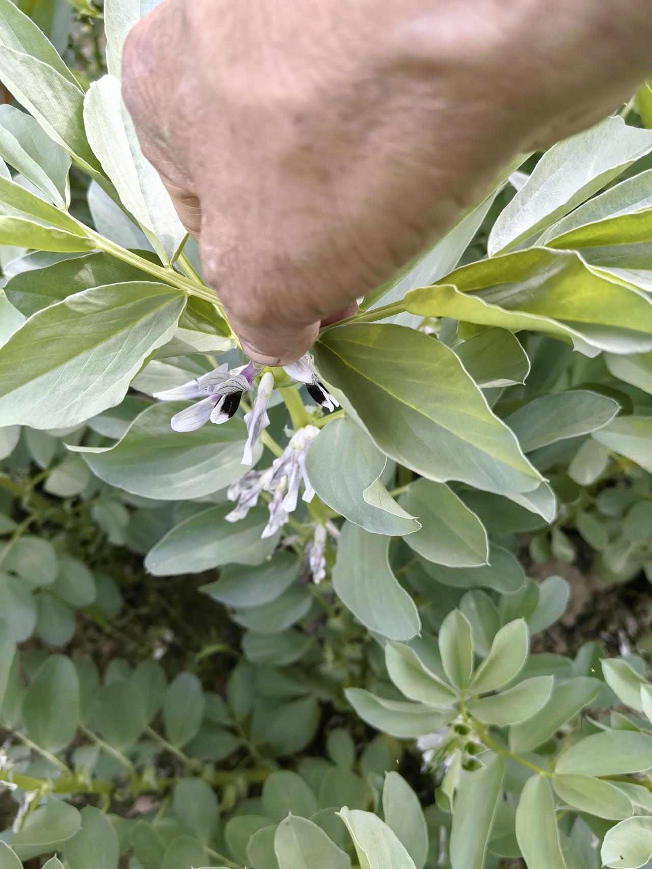 猜猜看！他在做什么？