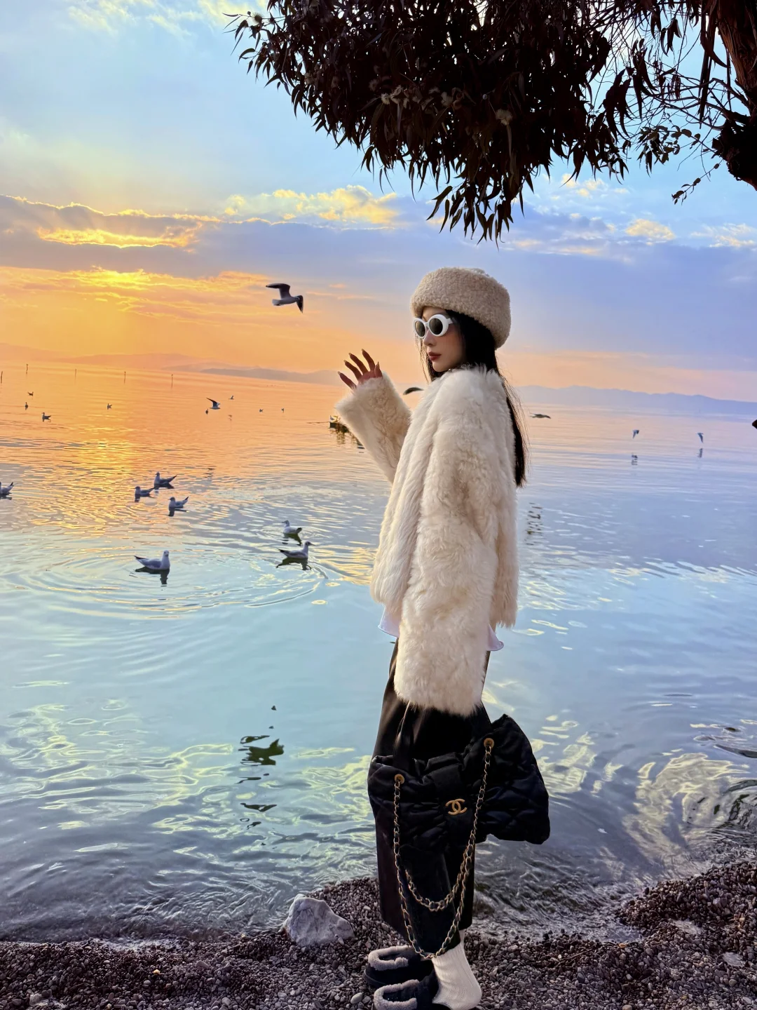 昆明捞鱼河湿地公园冬天的海鸥和落日