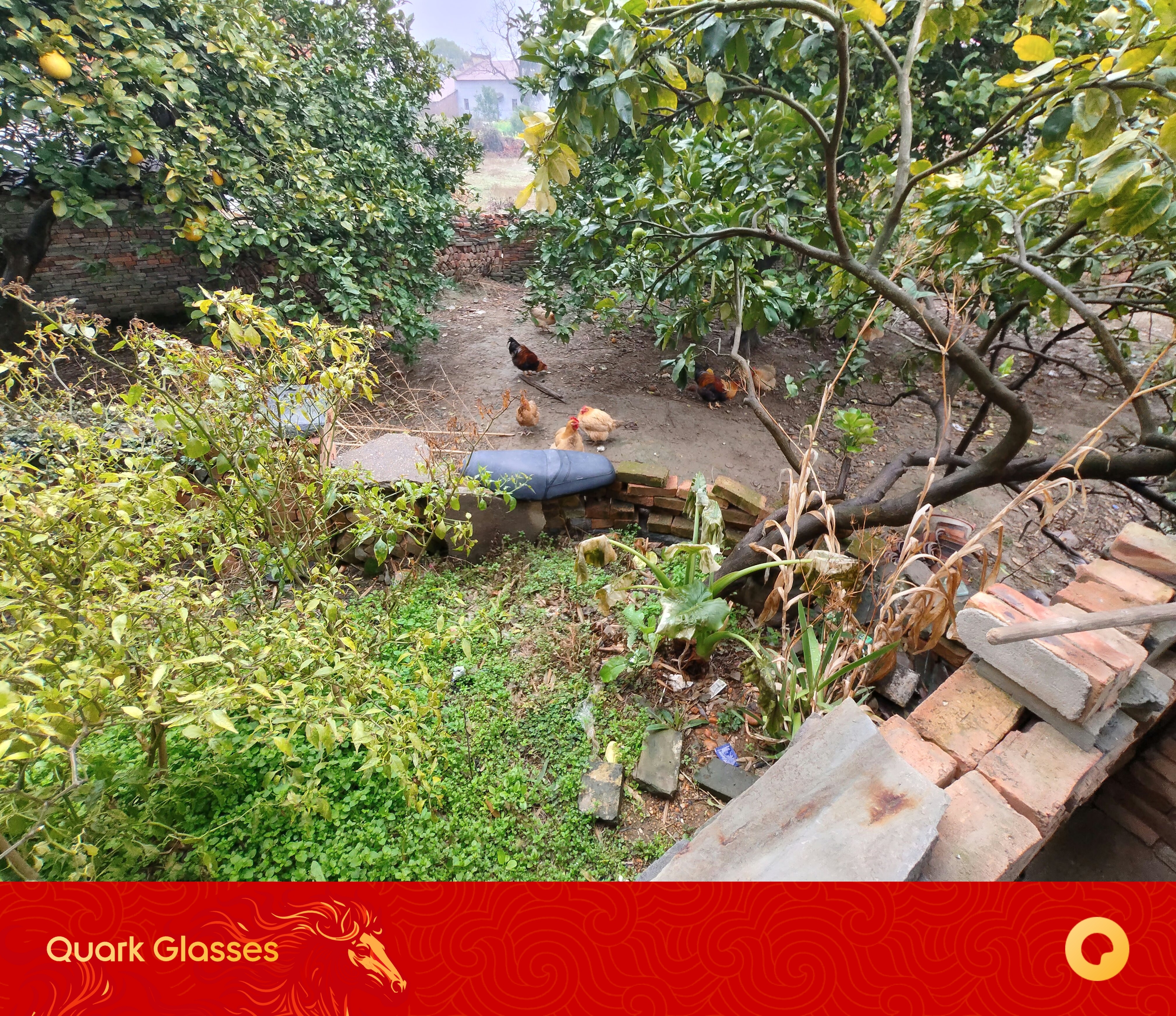 今天 YOYO 建议提醒我，27 宰年鸡！待会挑一只宰了？？ 