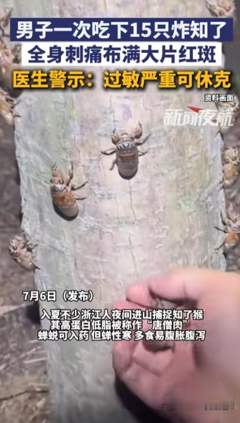 “享受不了好东西！”7月6日报道，浙江，现在正是吃知了猴的季节，这东西高蛋白低脂