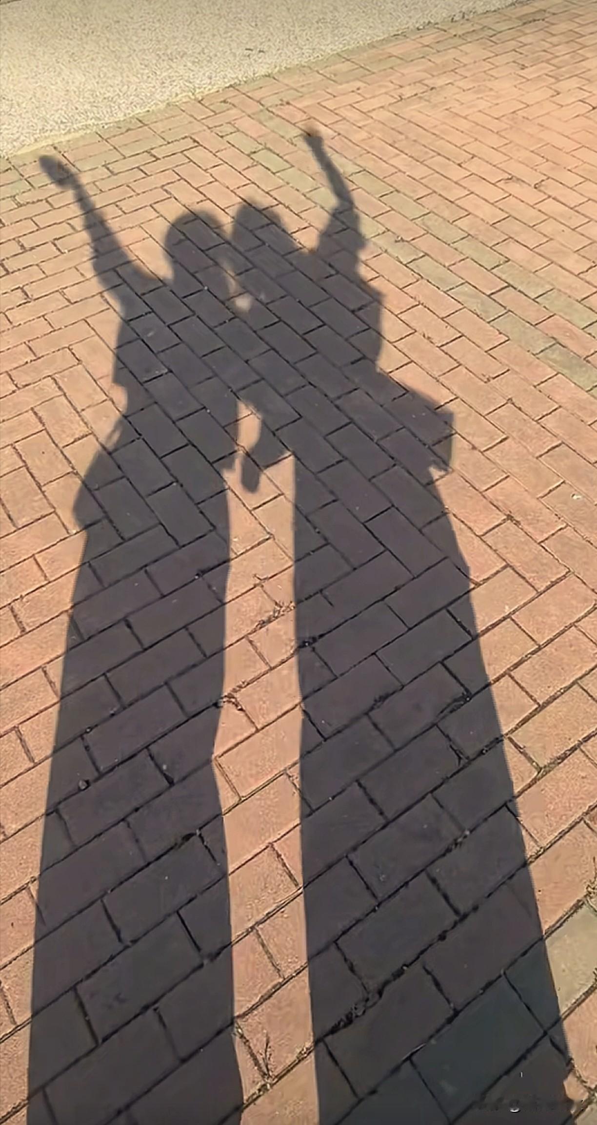 ╭───♫ ♬ ♪───────╮
❥   
    🌱 没有完美的生活 也没