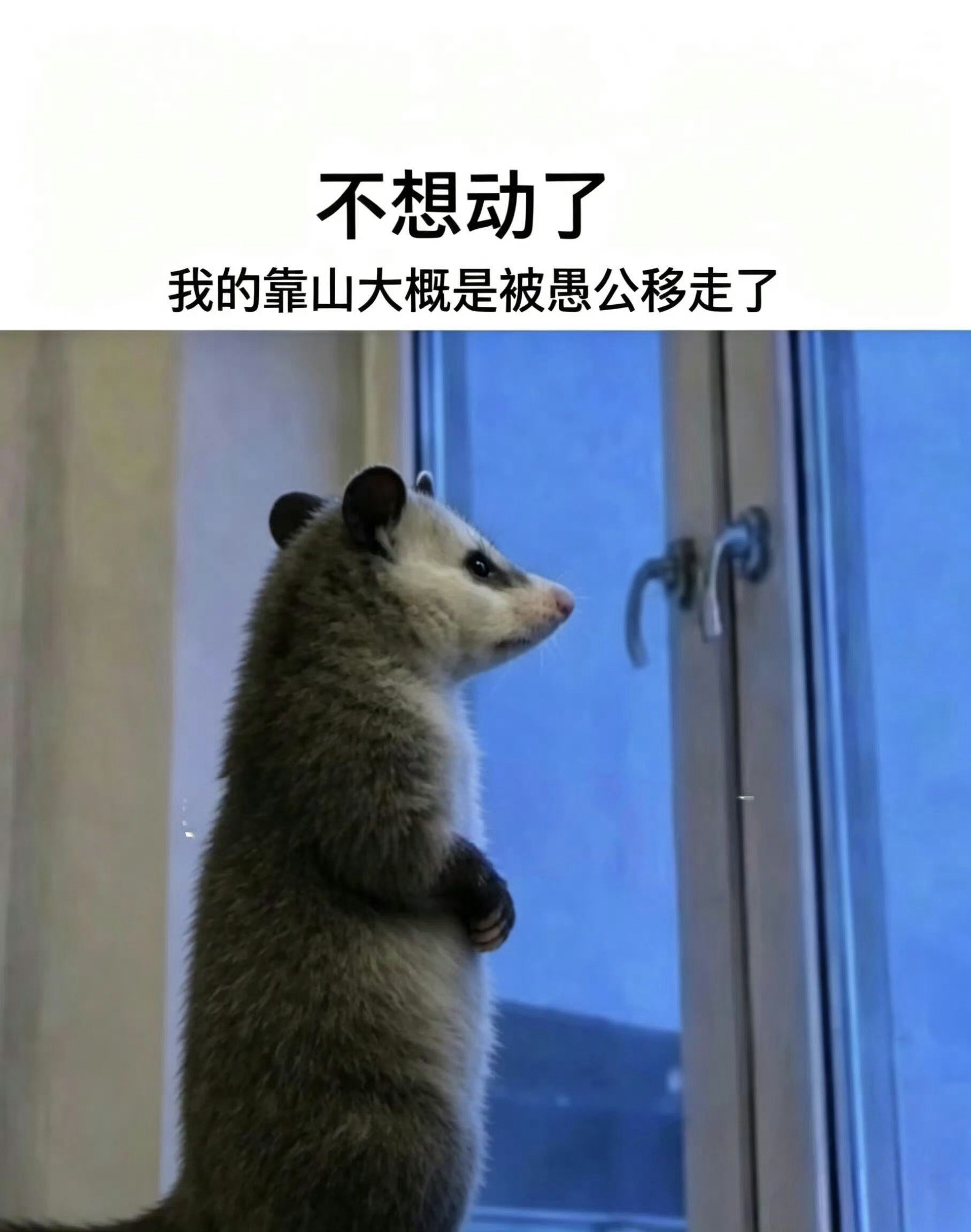 一直想买一双雨靴，最好是亮眼的黄色，可惜不出门。 