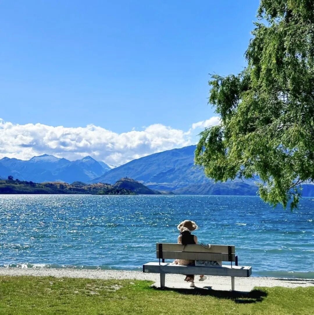 🌴ɴɪᴄᴇ🌵દ ᵕ̈ ૩欲成大树，莫与草争 