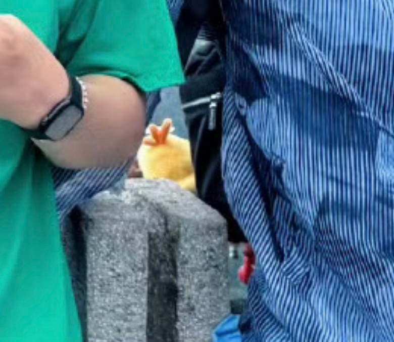 宝宝是不是挂着我们的泳圈🐥啊