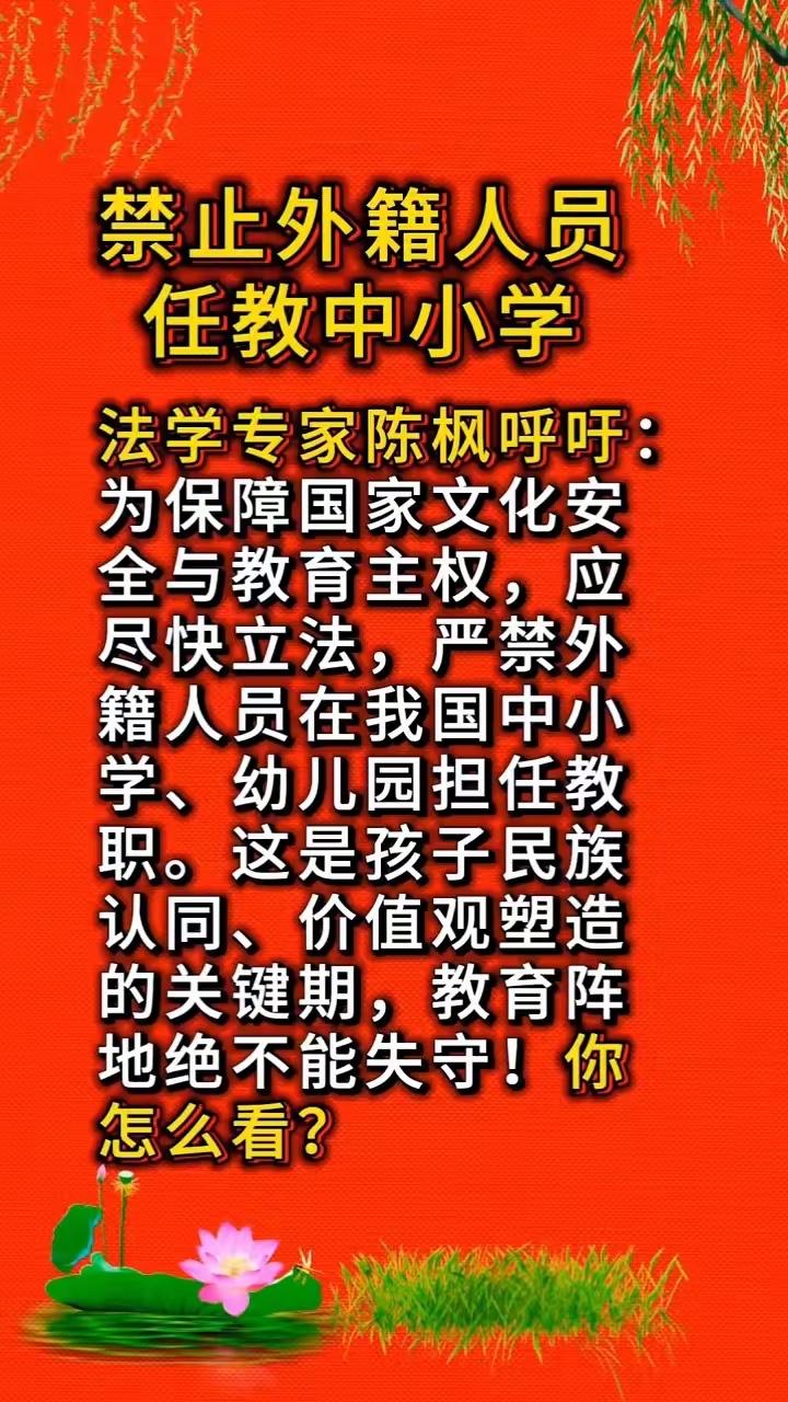 禁止外籍人员任教中小学。
​法学专家陈枫呼吁：为保障国家文化安全与教育主权，应尽