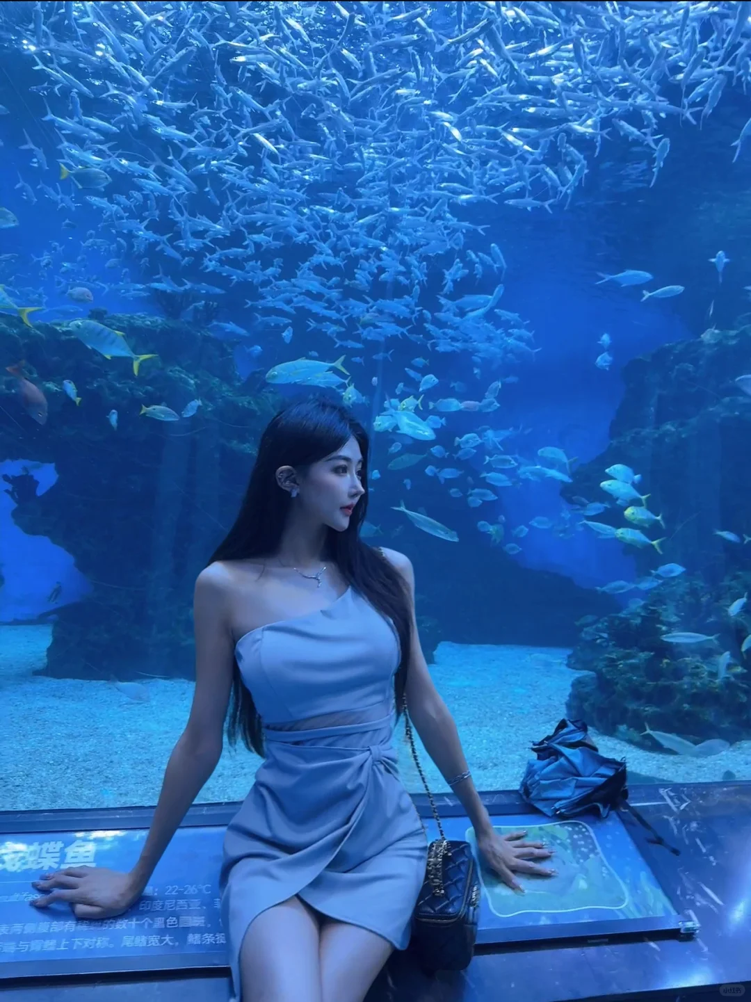 海洋馆是不需要调滤镜的美