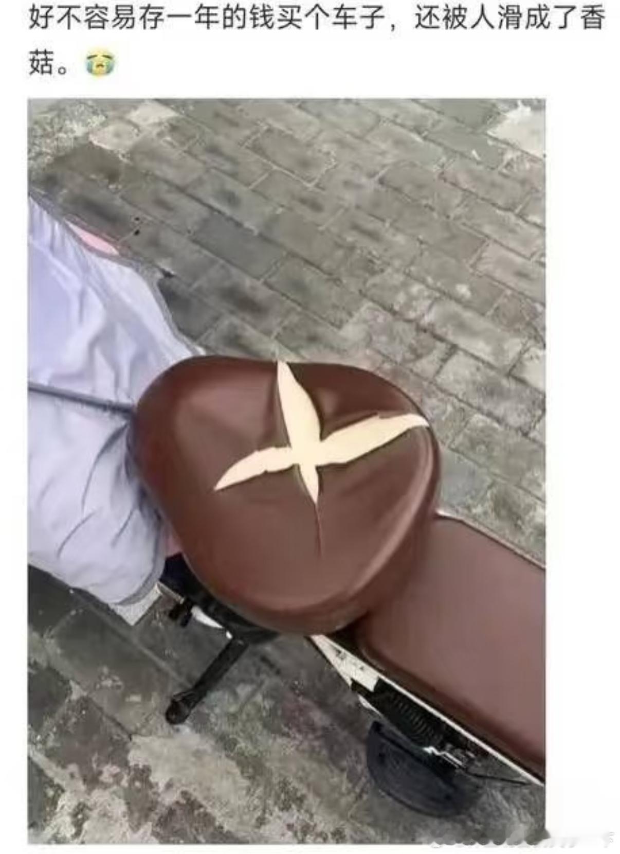 5251我的香菇 啊不 我的车垫 ​​​