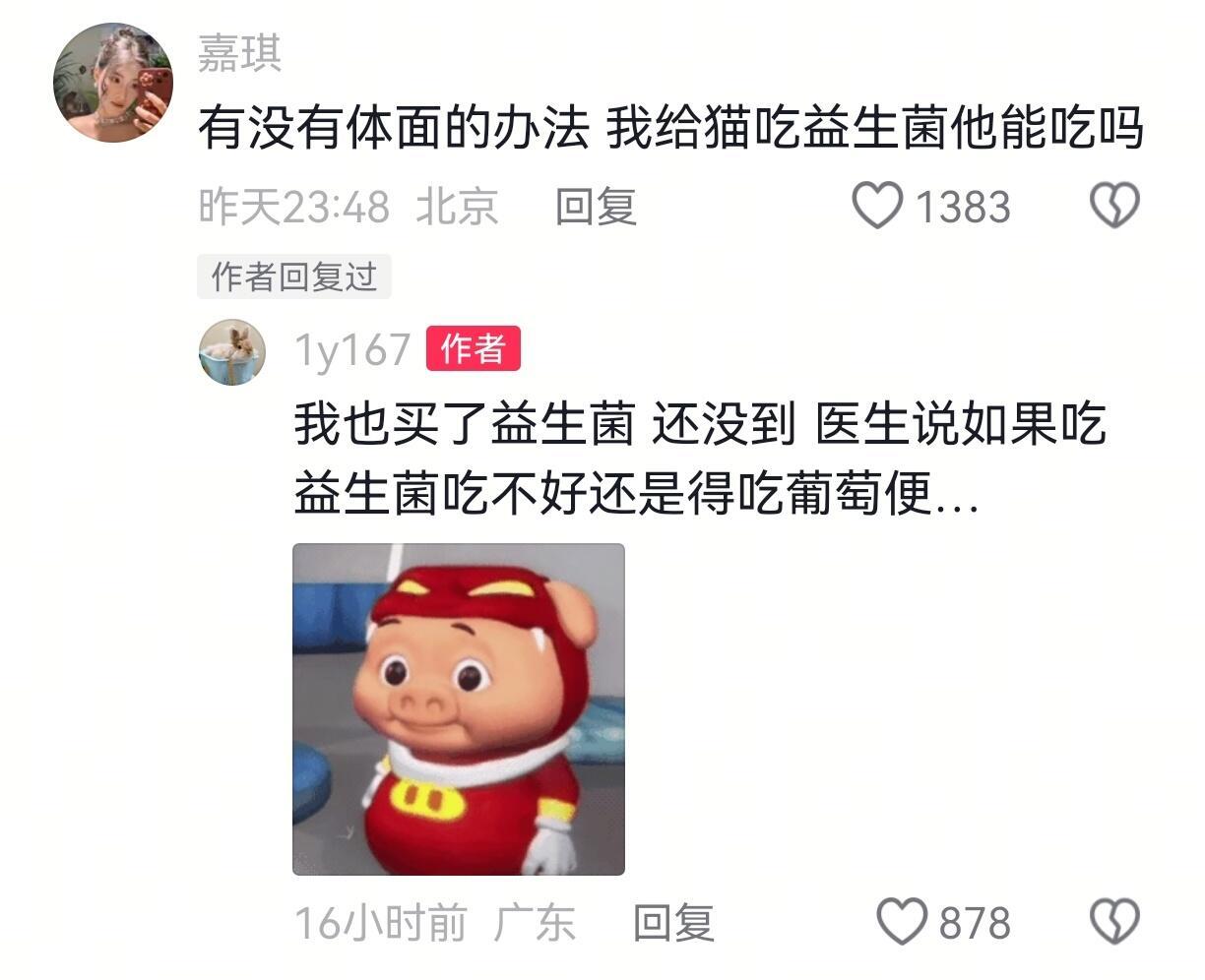 好可怜的小兔子吃一辈子粑粑哈哈哈哈哈
