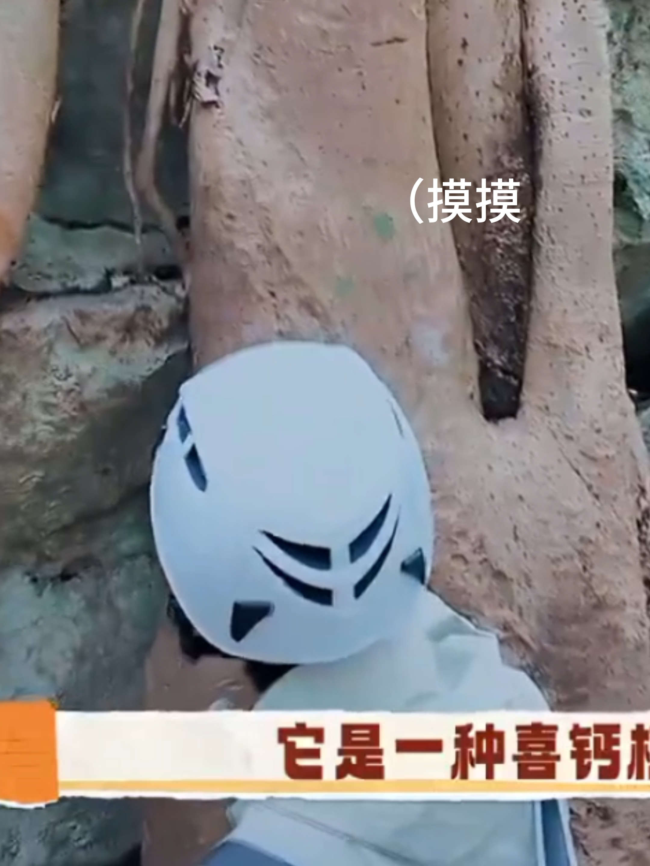 “哇～”还要上手摸一摸超级配合工作人员超会给情绪价值超级认真听讲的好孩子一枚🫳