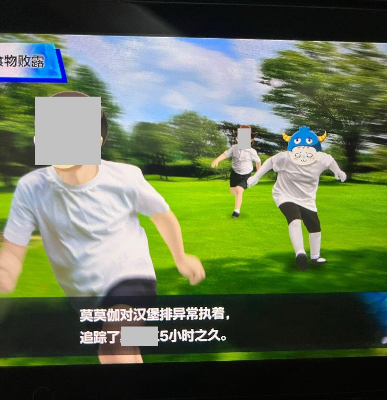 模糊的强子，清晰的实力23396 