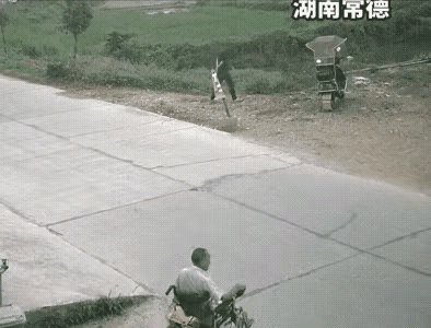 胆子很肥！
跨里冒烟！