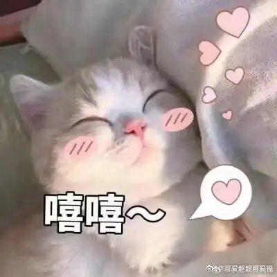 京东疑似bug一晚免单超70万 这场意外福利属实难得，上手简单极易操作，想要的养