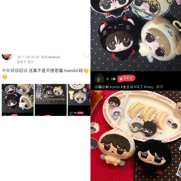 如何看待金主训家抄袭了金善旴、柳智敏、宋银硕家的娃 