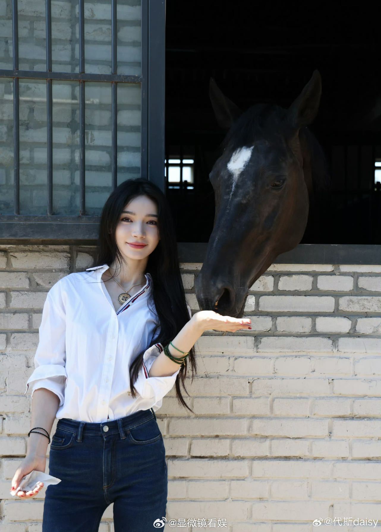代斯骑马图太美被判定为ai代斯 女骑士 真的要被更新的这组骑马图迷住了！又帅气又