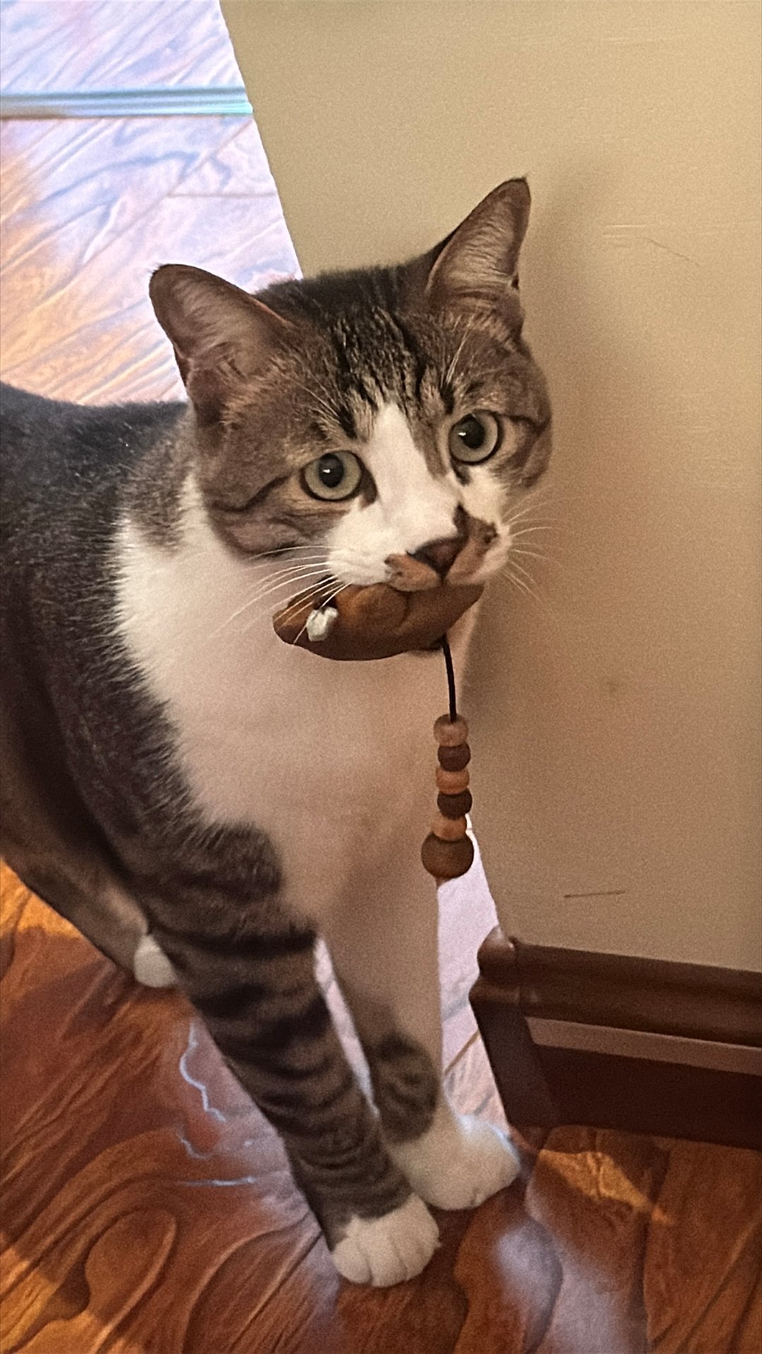 签到签到签到好不容易休息休息，继续吃吃喝喝玩玩乐乐           