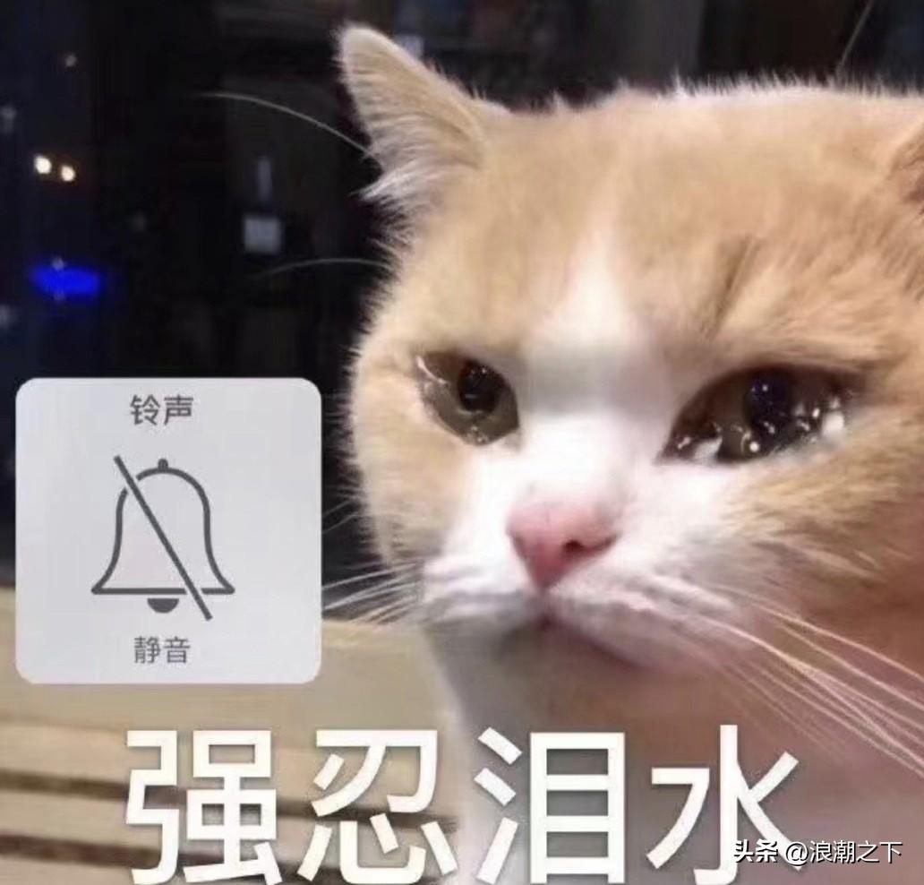 校门口接孩子，一个女家长无征兆哇哇大哭[流泪]，把执勤警察和志愿者都整不会了。得