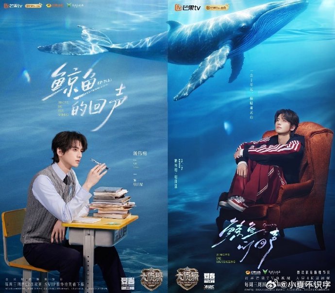 发现了大侦探海报的小巧思作为细节控，看到海报拼接成完整鲸鱼的设计真的很满足，美工