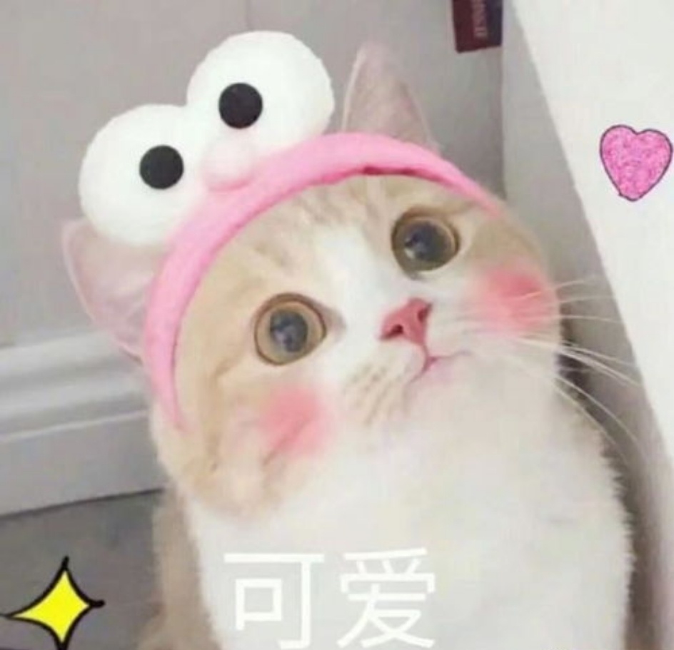 成年猫咪对主人的依赖程度 看似高冷，其实藏着小心思——你回家时它会从沙发起身，你