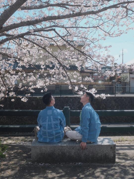 福冈｜我们和樱花谈了场恋爱