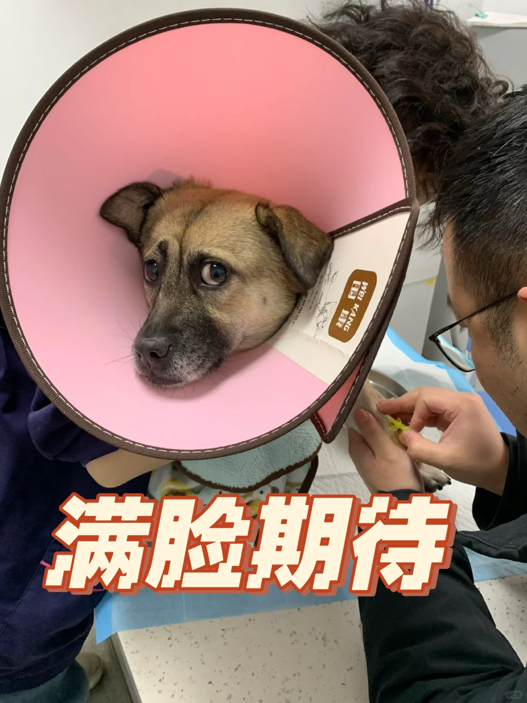 你看我是想打针的样子吗