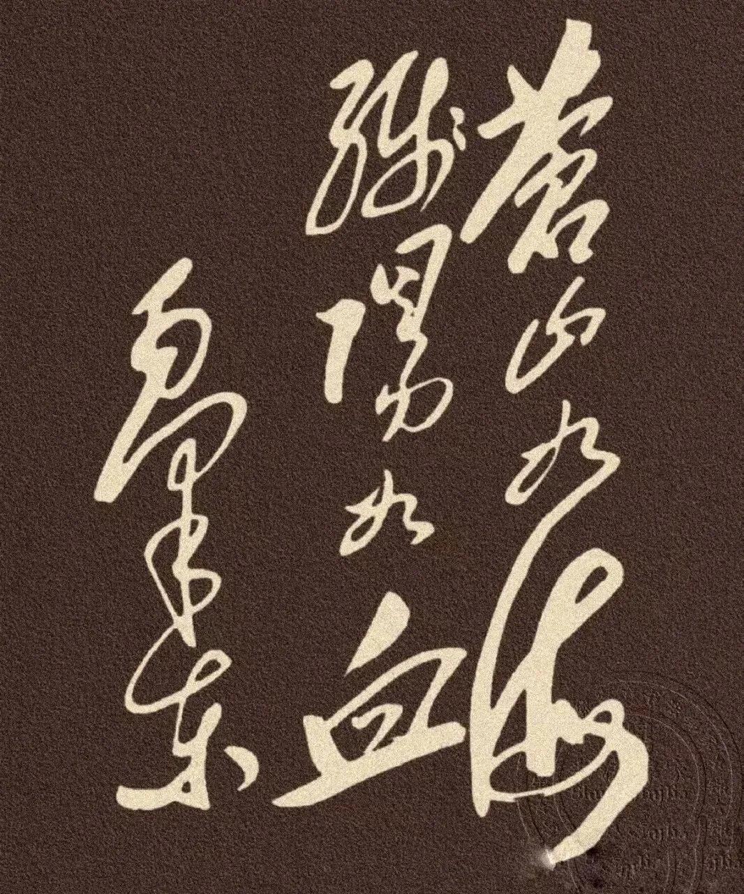 毛主席提字，我看了半天都认不出全部是些什么字，我真笨！
