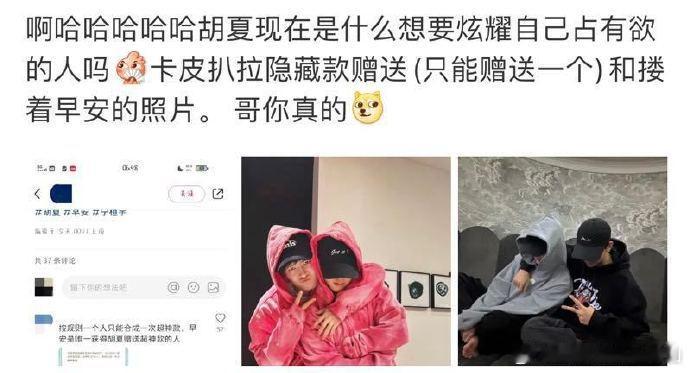  胡夏将卡皮巴拉微博皮肤送给早安，这种情谊令人羡慕。 ​​​