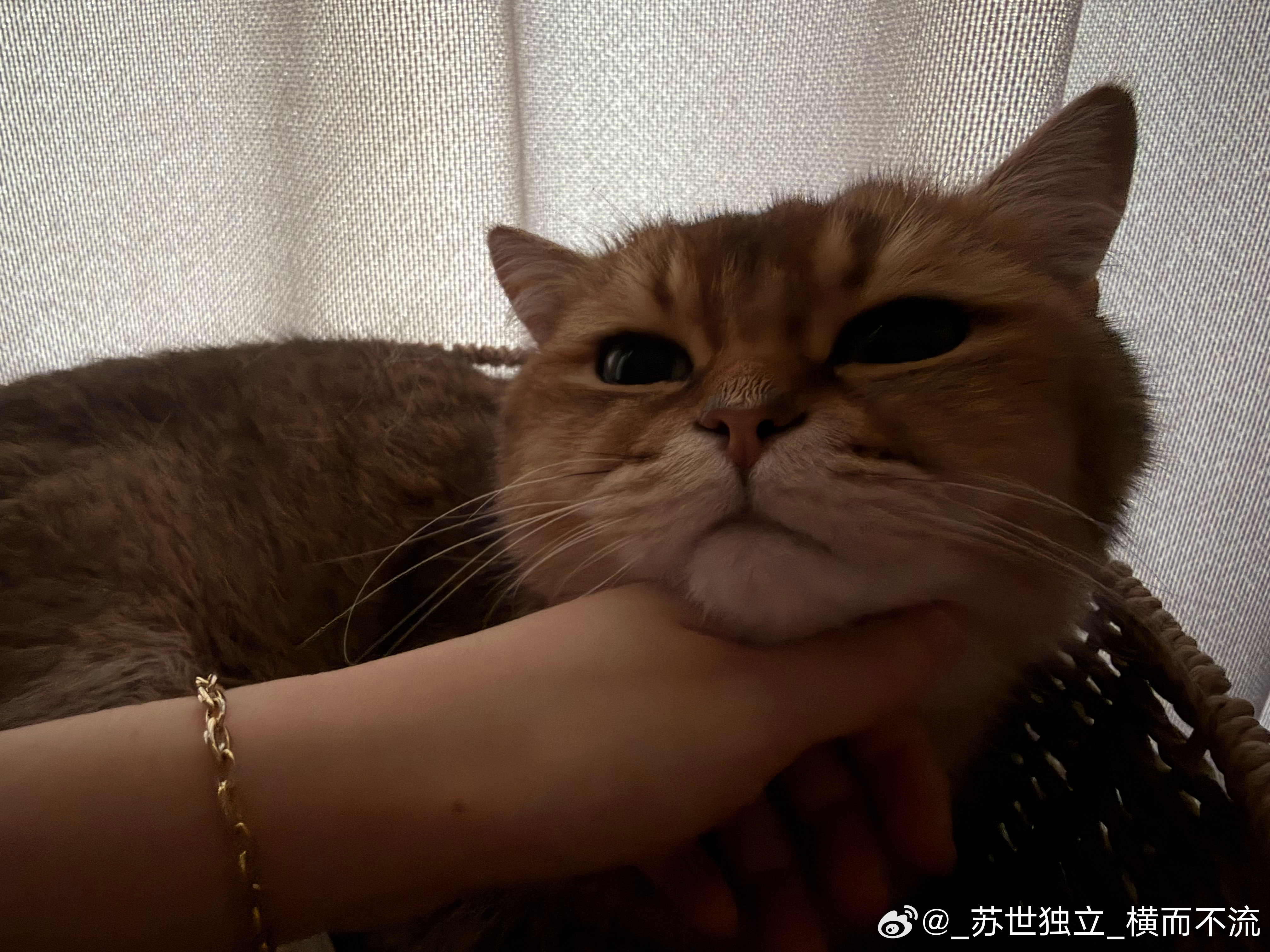 宝宝宝宝 