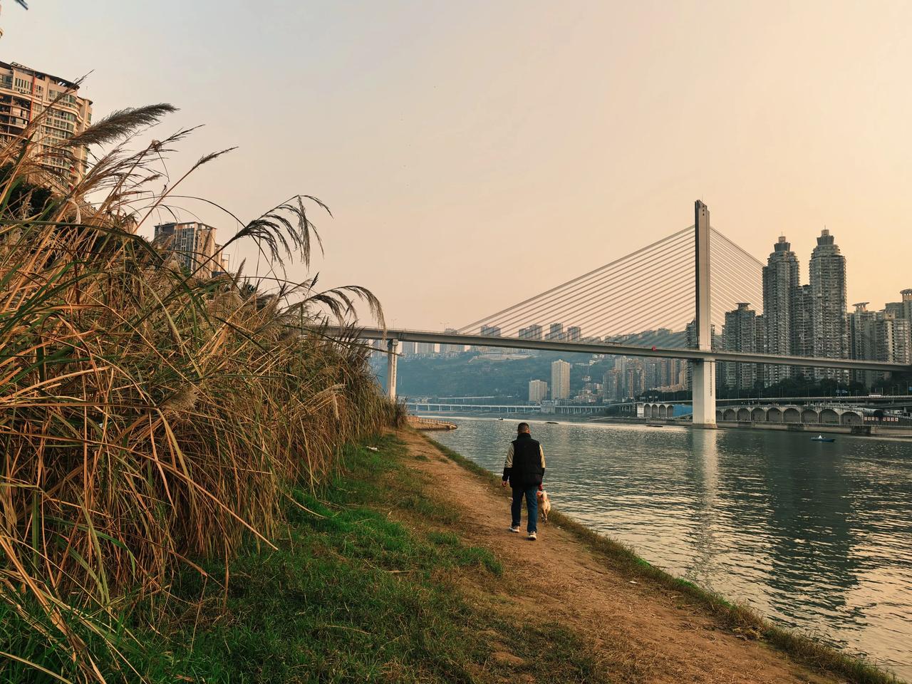 今天是重庆今年最后一天的太阳，赶紧让老公带狗子出来，到北滨路旁的巴人波水公园，人