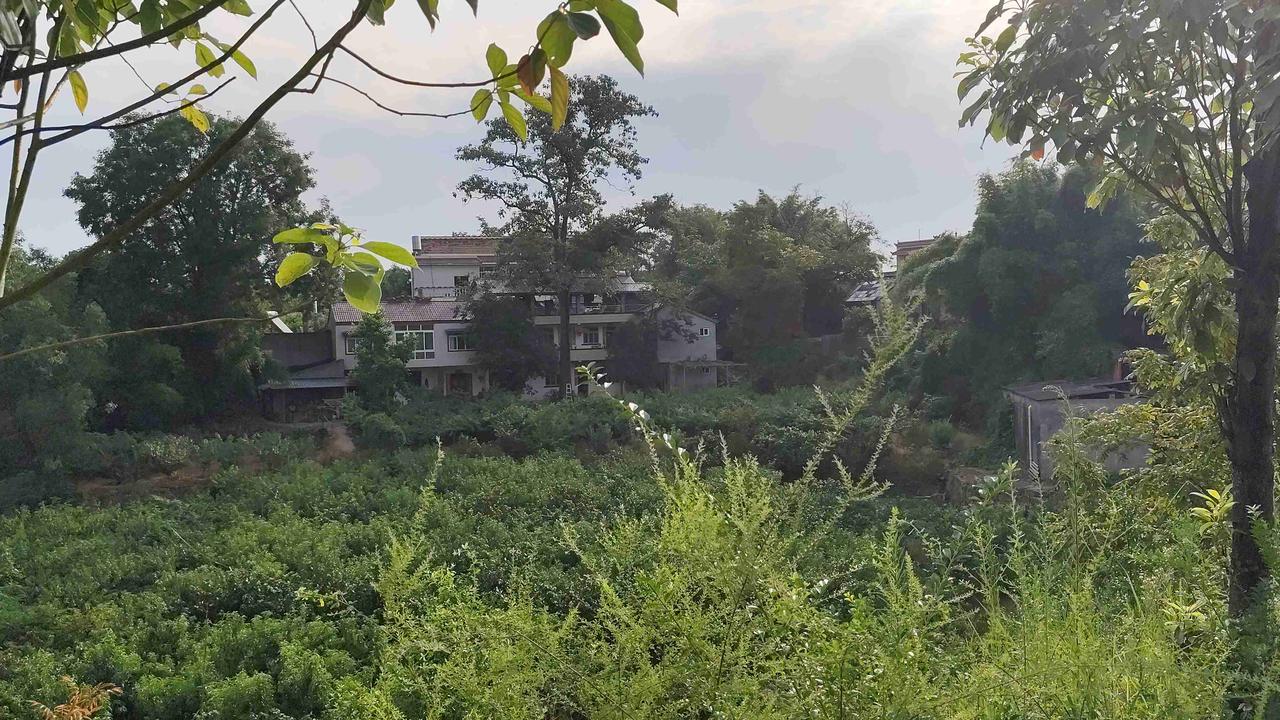 我的今日状态：😁轻松愉快
我这里的天气：☀️晴天