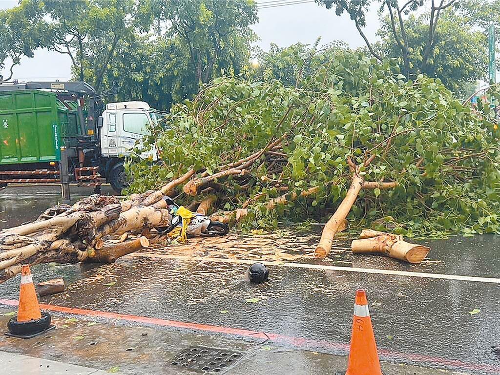 【台风“格美”来袭，岛内因为“台风假”吵翻了天】
台风“格美”登陆台湾后，为了保