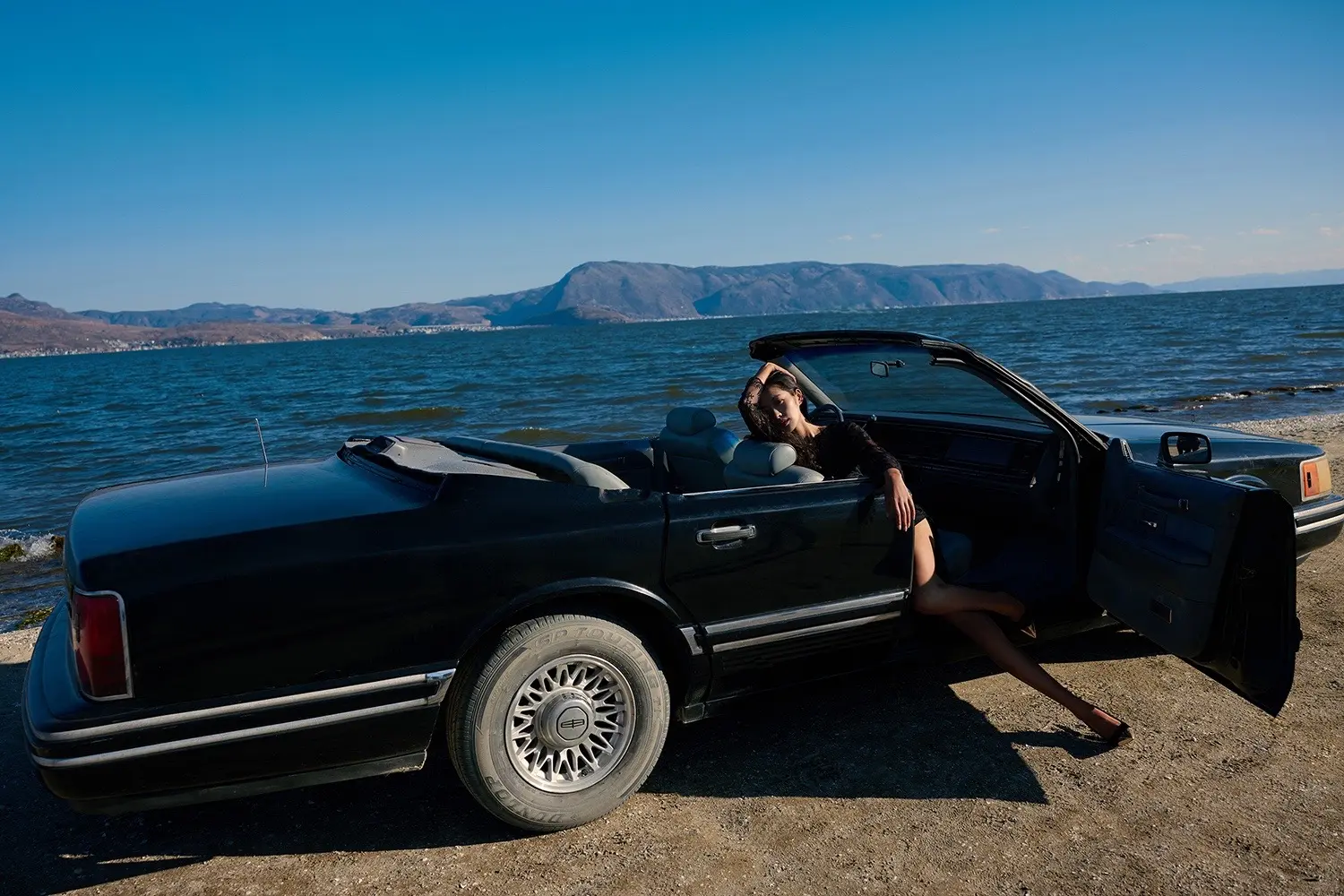 我才不是什么玫瑰。