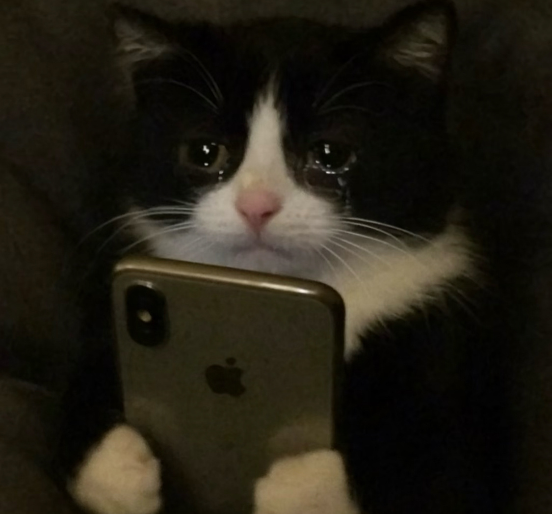 看小说BE结局会让我心梗毕竟纸片人嘎了是真嘎了，开篇隐隐约约不妙就直接翻到大结局