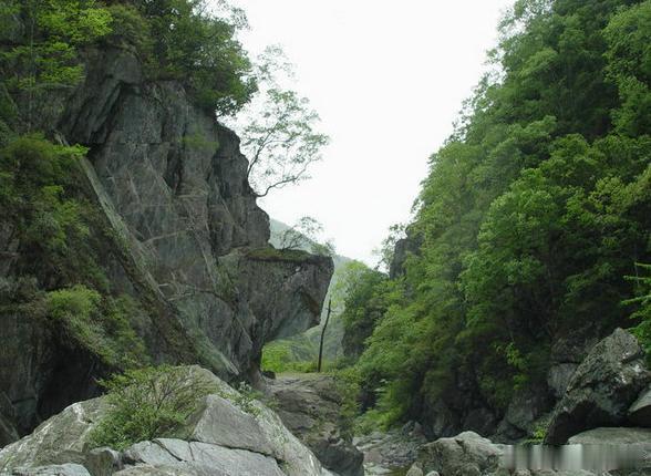 【青木川自然保护区】青木川自然保护区幽幽古栈道，下临深谷，泉水清幽。境内凤凰山山