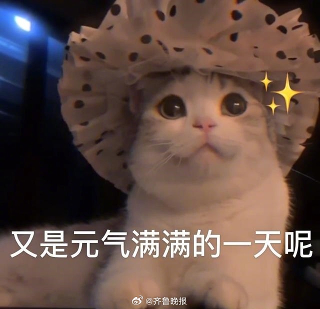 #早安# 九月第一天，祝大家新的一个月元气满满，充满动力[打call] ​​​