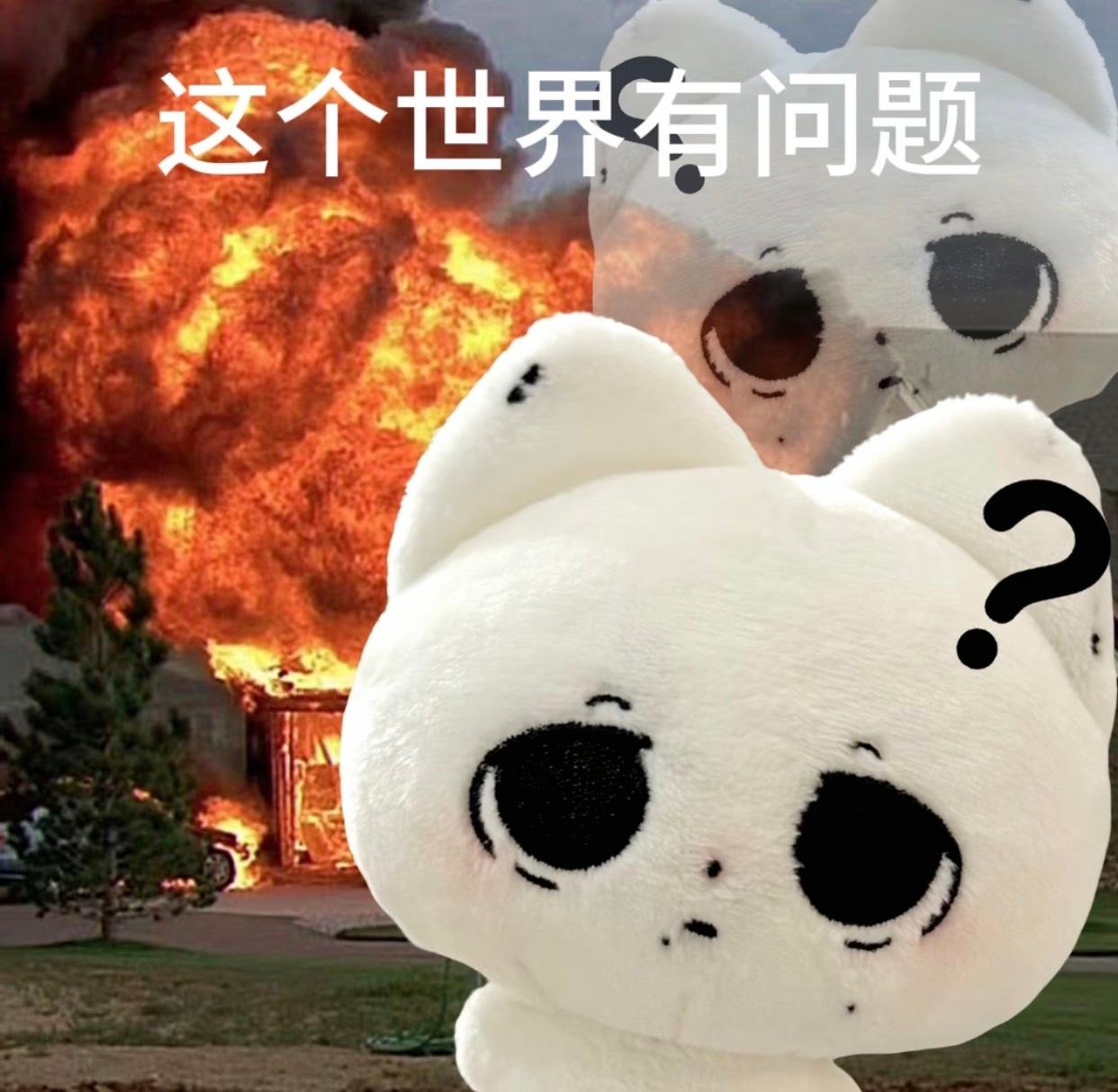 一整天都处于灵魂放空的状态 我好懵啊 