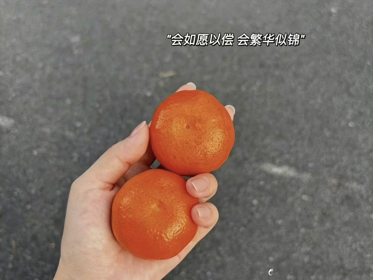 中秋的团圆，不止是相聚，更是自己内心的觉醒与自洽。几年前选择踏上自我成长这条路后