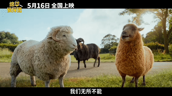 绵羊侦探团定档年度宝藏喜剧来袭✨《绵羊侦探团》定档5月16日！知名导演编剧强强联
