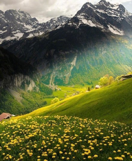 【心在旅行】        苍苔满山径        最喜客来稀……………………